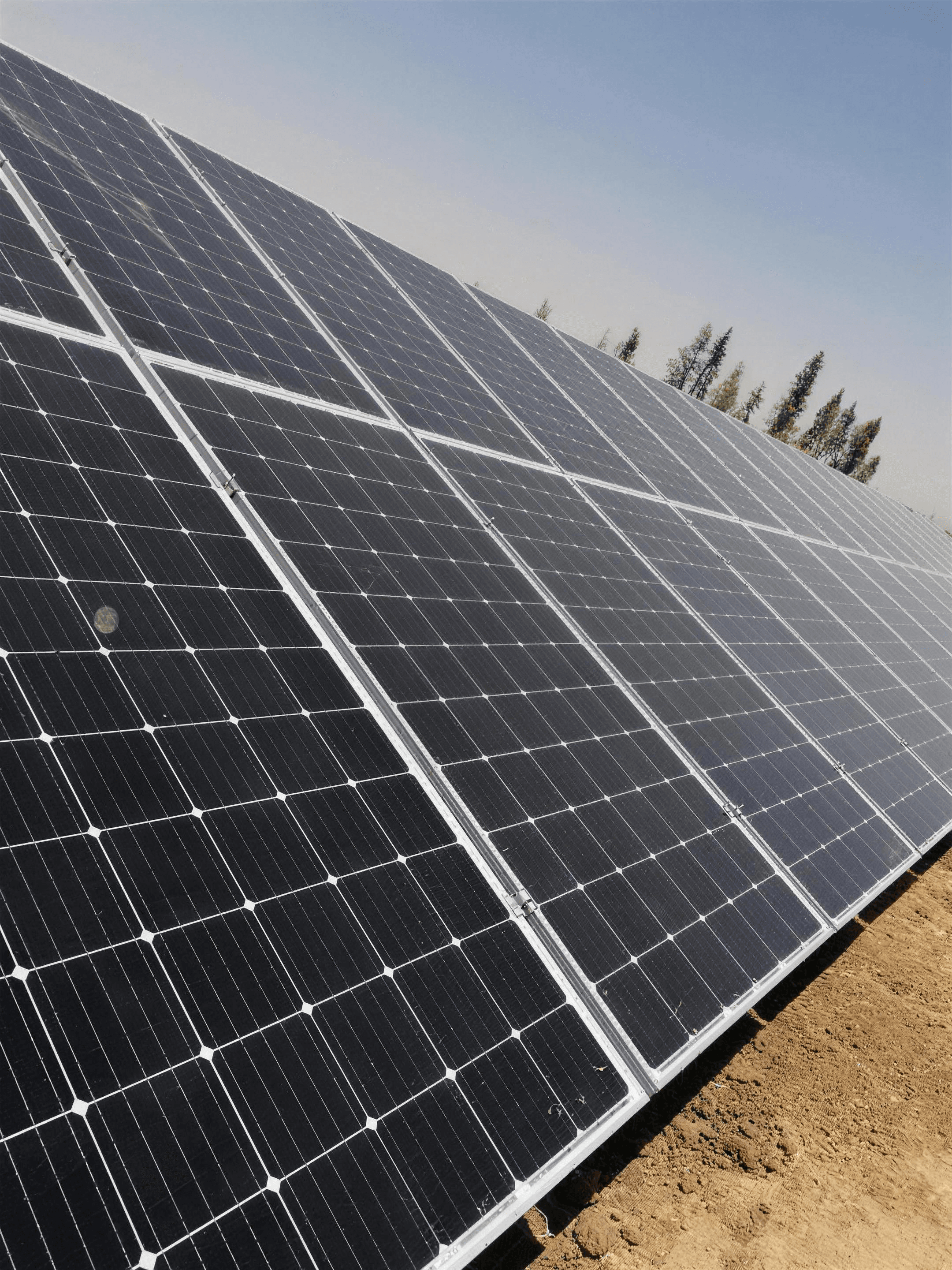 Rows of solar panels in a Saruest ground-mounted array